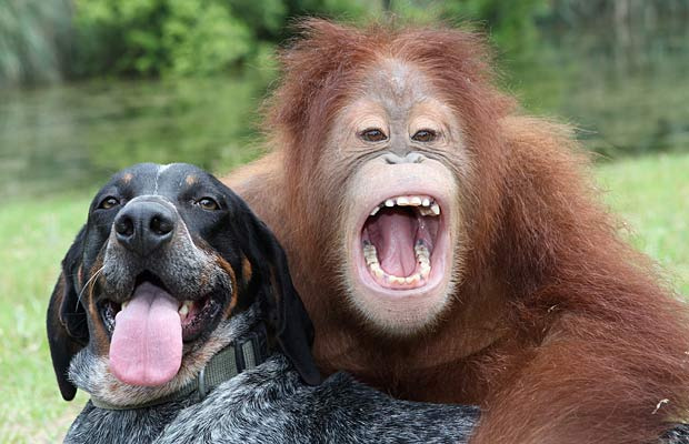 Adorable Animal Photos